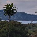 13 Acre Finca with views of Lake Arenal, Volcano Arenal and a Stream